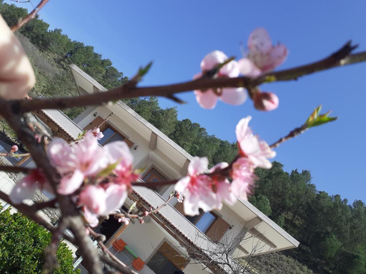 Kanushi House Αργυρόκαστρο Εξωτερικό φωτογραφία
